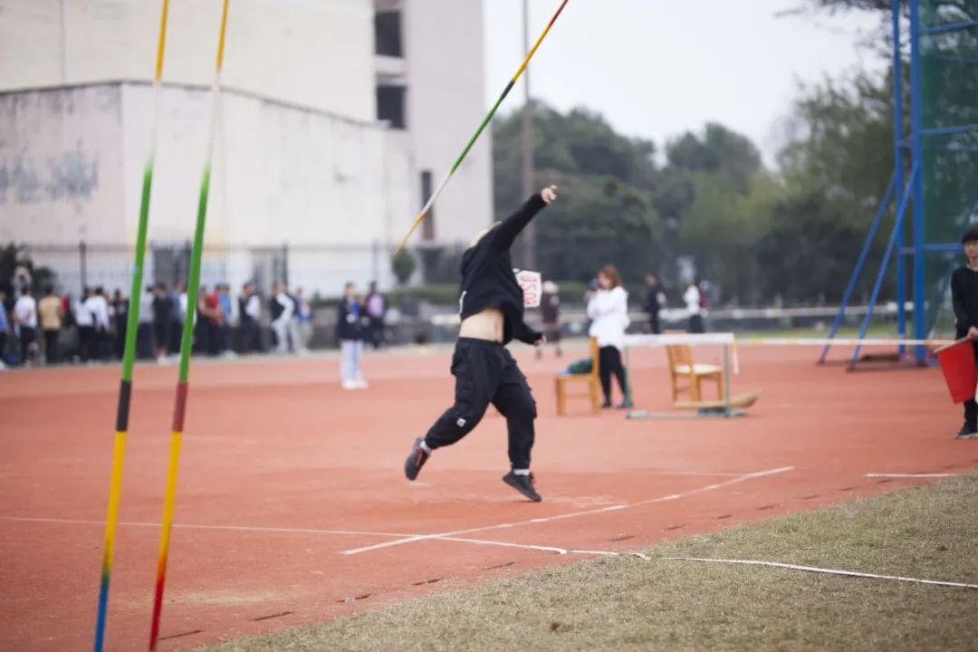 IMG_256